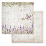 Stamperia - Lavender Collection Kit