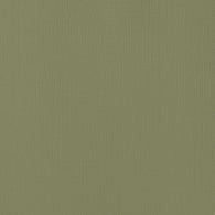 AC Cardstock - Textured - Olive (1 Sheet)