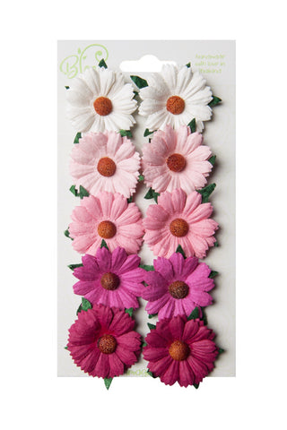Bloom - Flowers - Chrysanthemums - Pink and White (10pc)