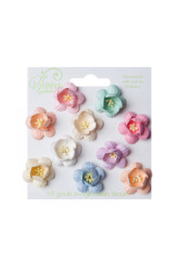 Bloom - Flowers - Cherry Blossoms - Pastel (10pc)