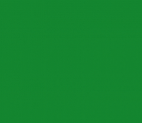 Vinyl - Medium Green Gloss (2m x 30cm)